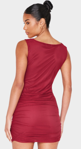 Burgundy Mesh Plunge Knot Detail Mini Dress