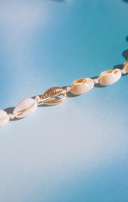 Natural Shell Belly Chain