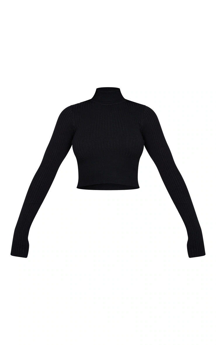 Black Ribbed Knitted Roll Neck Cropped Jumper