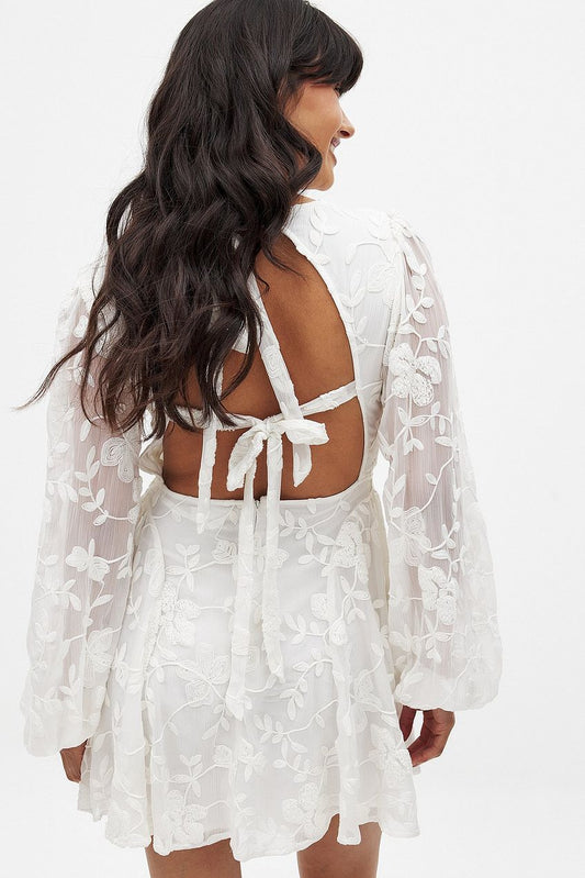 Na-kd Embroidered Chiffon Long Sleeve Mini Dress