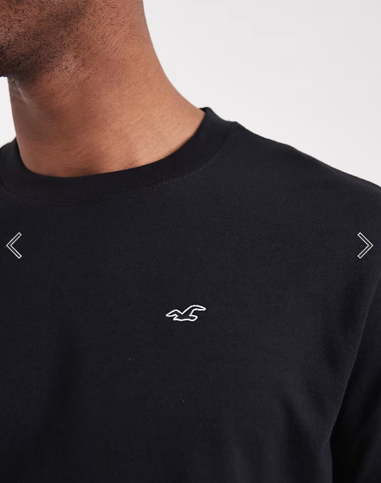 Hollister everyday icon logo t-shirt in black.
