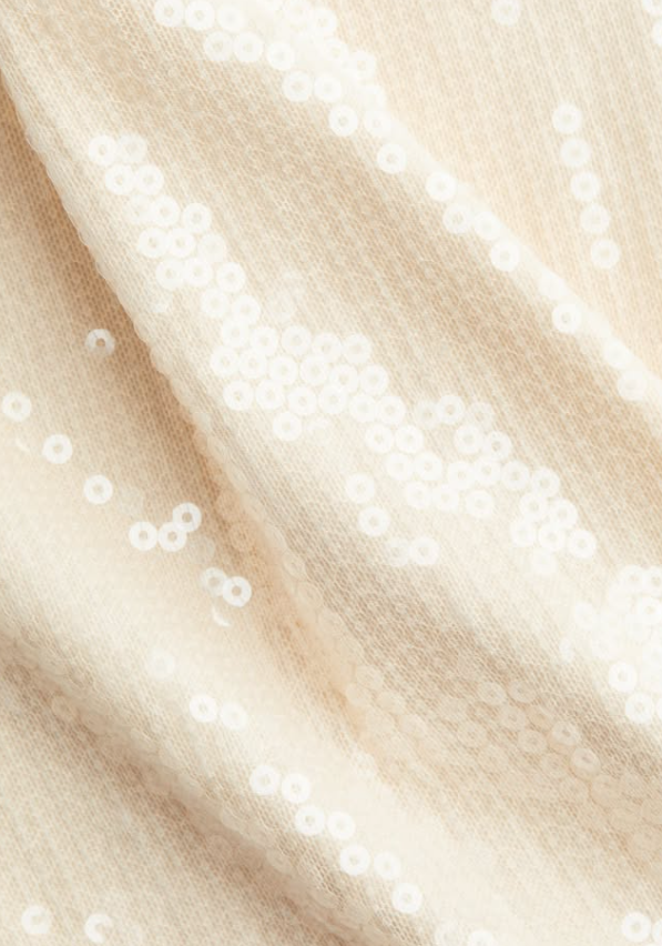 H&M - SEQUINED MESH SKIRT