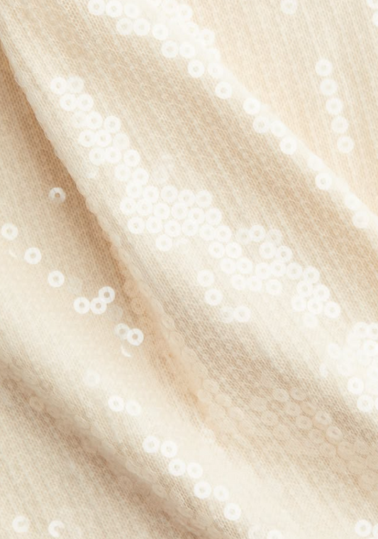 H&M - SEQUINED MESH SKIRT