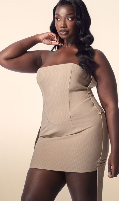 PLT Label Plus Taupe Pinstripe Bardot Corset Bodycon Dress