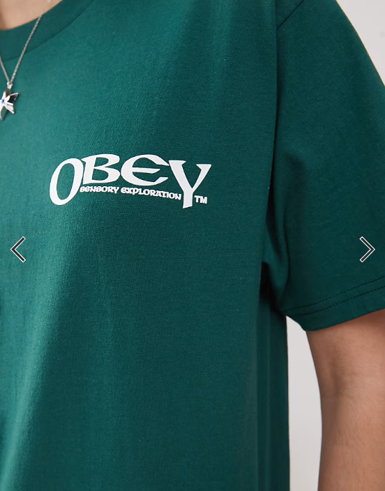 Obey Sensory graphic logo t-shirt with back print in dark green