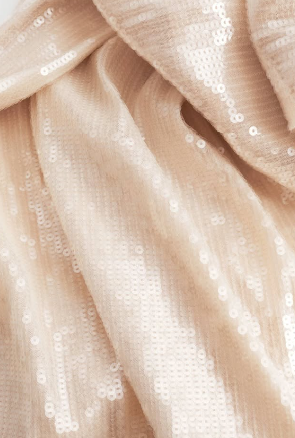 H&M - SEQUINED MESH SKIRT