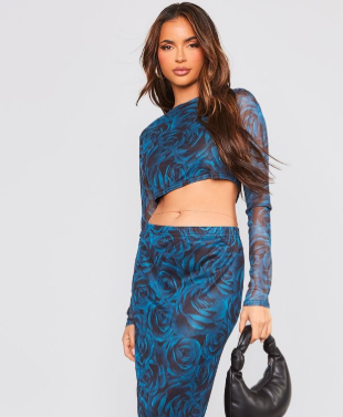 Blue Floral Printed Mesh Long Sleeve Crop Top