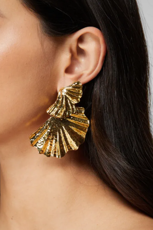 Fan Textured Earrings