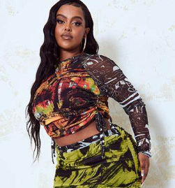 Plus Multi Abstract Print Ruched Mesh Crop Top