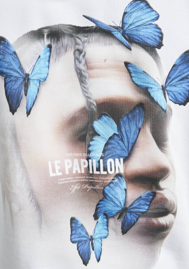 MISTER TEE UPSCALE - Upscale Le Papillon Heavy Oversize Hoodie.