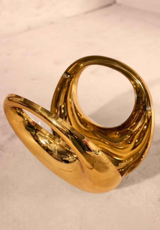 Gold Hard Smooth Curve Hand Bag