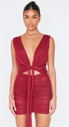 Burgundy Mesh Plunge Knot Detail Mini Dress