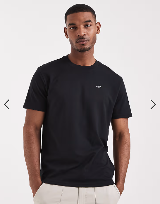 Hollister everyday icon logo t-shirt in black.