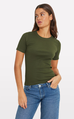 envii enally ss slim v-n tee 5314