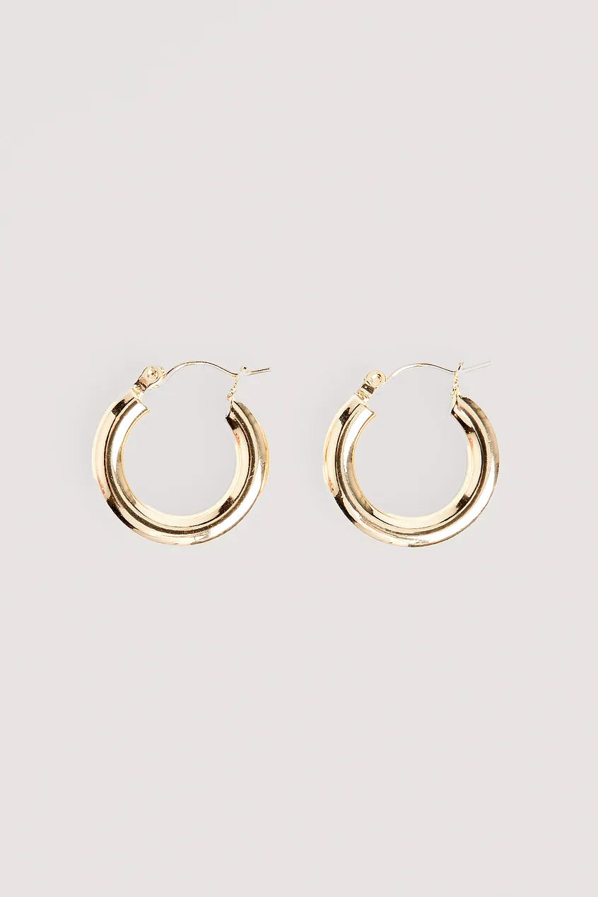 Double Ring Earring