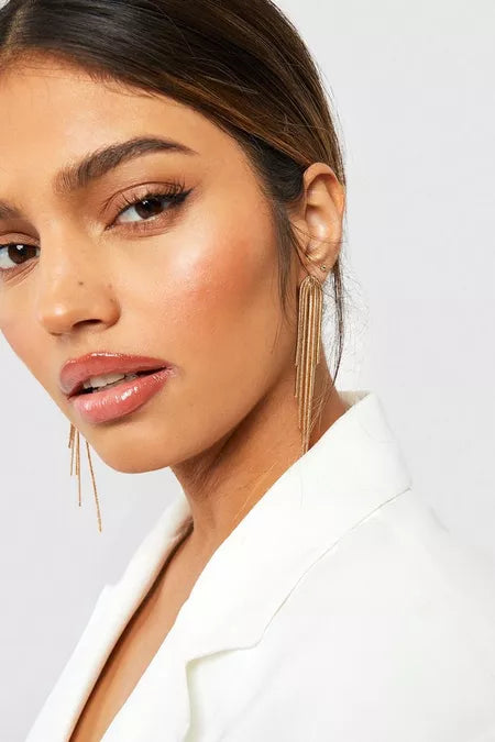 Statement Snake Chain Fringe Earrings