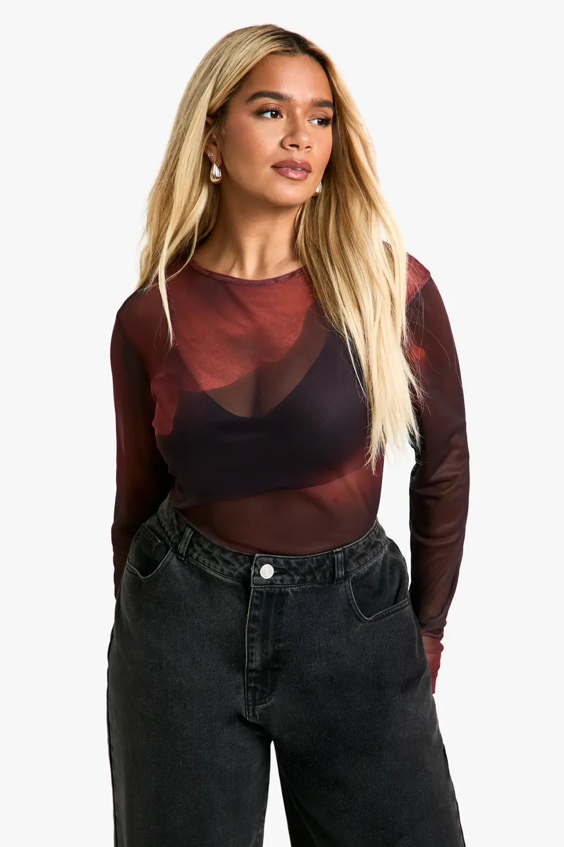 boohoo Plus Mesh Long Sleeve Top