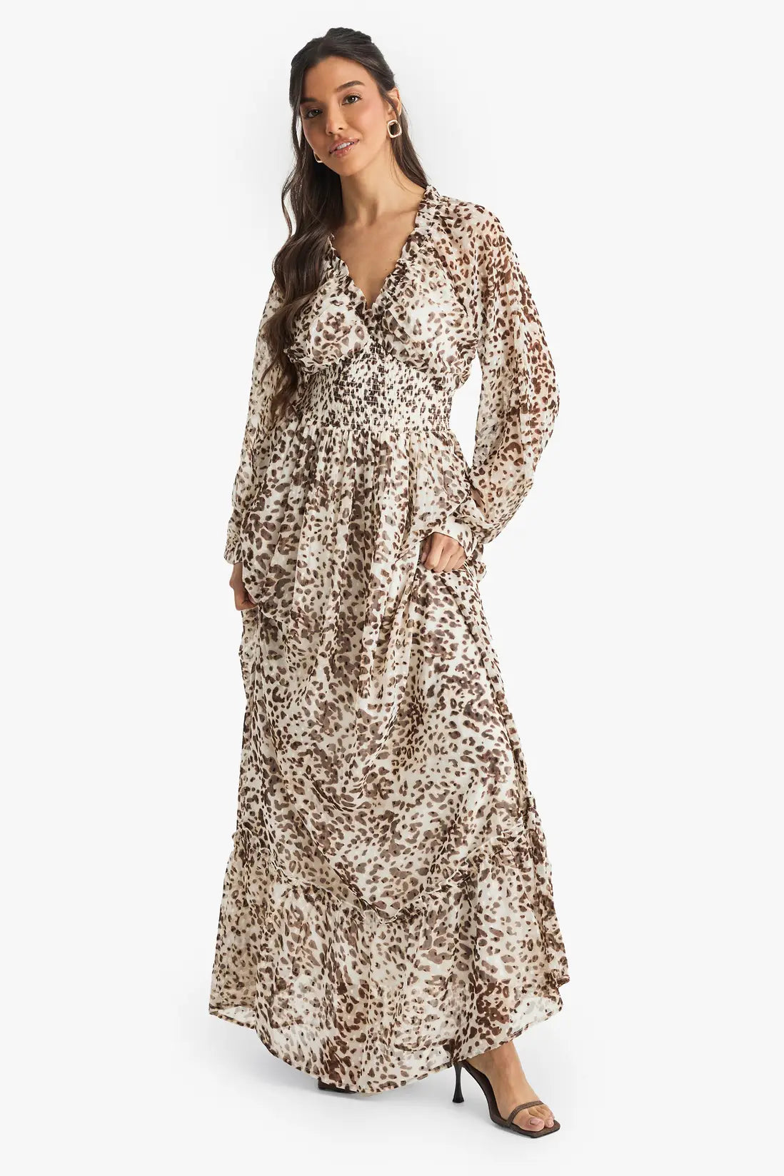 boohoo Leopard Printed Dobby Long Sleeve Maxi Dress